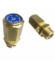 VALVOLA DI SICUREZZA TARATA INAMOVIBILE 1/8" 10 bar